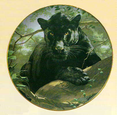 Portrait of a Black Panther